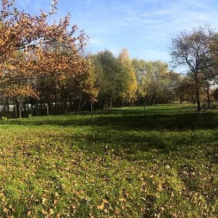 Caly Dom, Parking, Grill, Zadaszony Taras Na Imprezy Lub Wakacje - Tylko Dla Ciebie